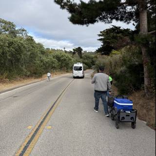 Summer Stroll on Scenic Roads