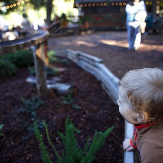 Community garden or educational farm