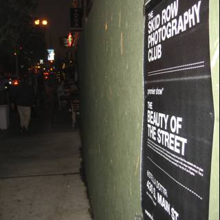 The Beauty of the Street Poster