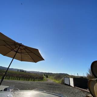 Barrel and Umbrella at a Vineyard