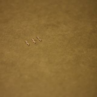 Tiny Screws on a Textured Surface