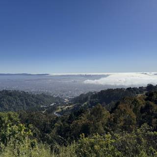 Overlooking the Fog-Covered Bay from Tilden Park
