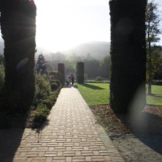 Stroll Through Sunlit Elegance