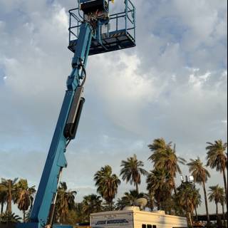 Reaching for the Sky