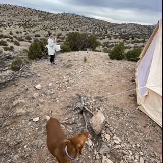 Desert Camping Companion