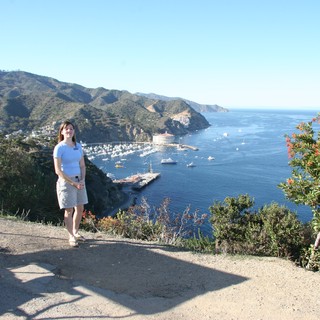 avalon-santa-catalina-island-california-usa-hilltop-overlook-above-avalon-harbor