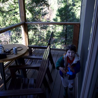 treehouse cabin rental