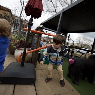 Young Boy Meeting Black Cat at Urban Patio