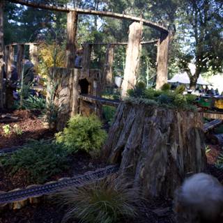 Miniature Rails Amidst Majestic Redwoods