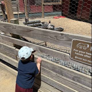 Curious Encounters at the Nature Area