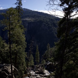 Mountain Stream Through Yosemite Valley Forest
