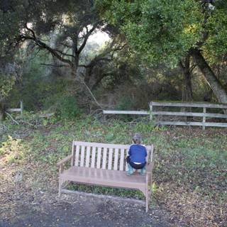 Tranquil Moments in Thistlewyck