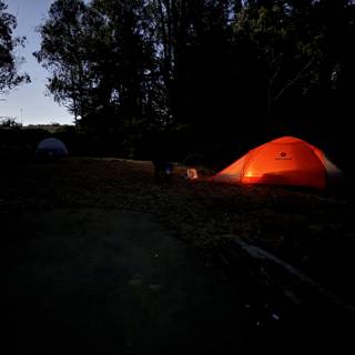 Illuminated Solitude: A Night Under the Presidio Skies