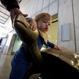 Young Child Discovers Bronze Goose Sculpture in Museum