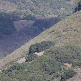 Serenity in the Carmel Highlands