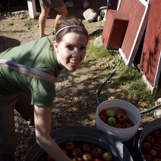 Joyful Woman Harvesting Apples at Autumn Farm