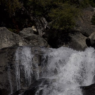 Rushing Waters Through Rocky Cascade in Yosemite