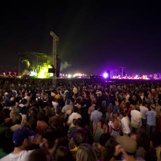 Nighttime Revelry at 2008 Coachella
