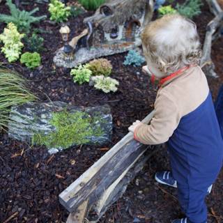 Exploring Nature's Wonders