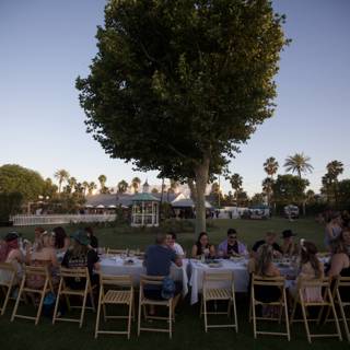 A Relaxing Afternoon at Coachella's Outdoor Cafeteria