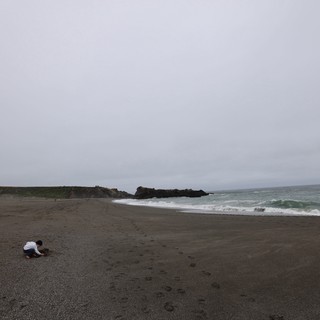 Child Explores Foggy Northern California Coastal Beach