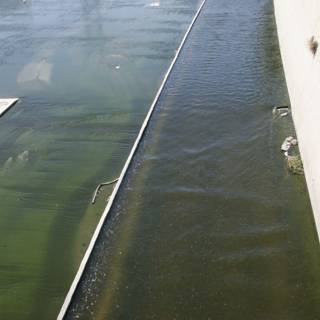 Green Algae Canal