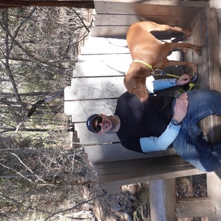 Man and Dog Relaxing on Wooden Bench