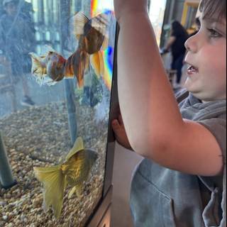 Underwater Wonders