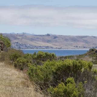 Whispering Shores of Cayucos