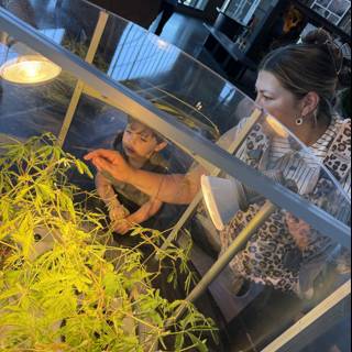 Curious Minds at Pier 15