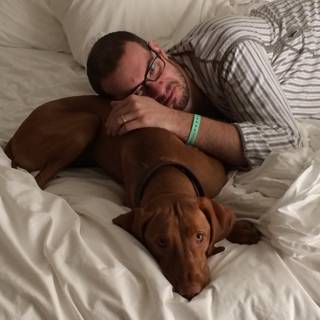 Man and Vizsla snuggle up on colorful bedding