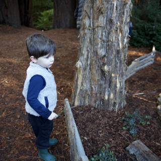 Wonder in the Woods