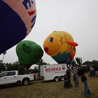 Colorful Hot Air Balloons Fill the Sky at Festival