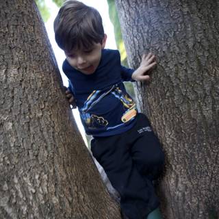 Tree Explorer