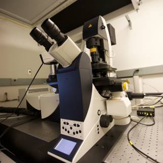 Advanced Microscopy in CNSI Laboratory