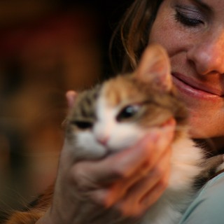 Tender Moment Between Woman and Calico Kitten