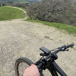 Exploring the Trails of Walnut Creek