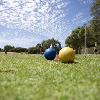 A Game of Bocce Ball on the Green Grass