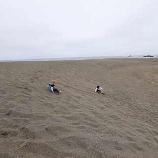 Two Children Playing on a Vast Grey Beach