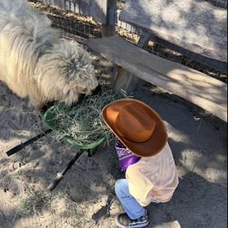 Little Cowboy's Sunny Adventure
