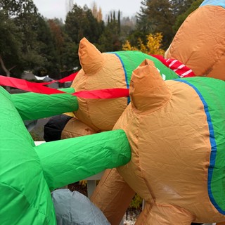 Inflatable Dinosaur Costumes Wrestling at Outdoor Event