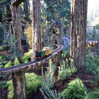 Woodland Railway Adventure