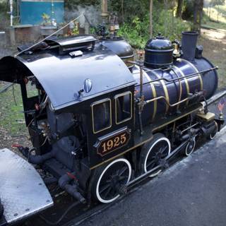 Charming Locomotive Adventure at SF Zoo