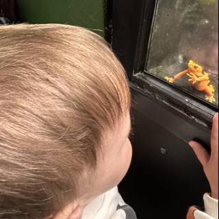 A Toddler's Fascination