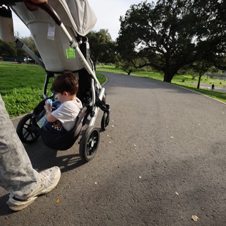 Peaceful Park Stroll with Child in Stroller