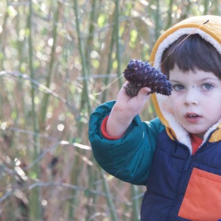 Young Explorer Discovers Pinecone in Winter Forest