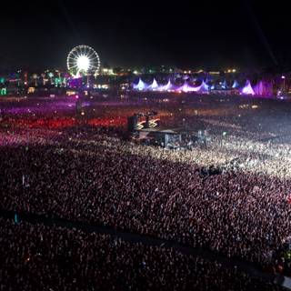 Concert Crowd at Night