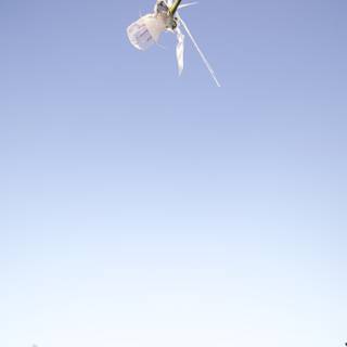 Kite Flying High in the Blue Skies