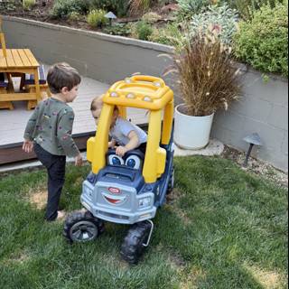 Backyard Adventures