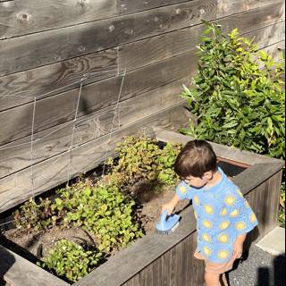 Little Gardener in Action